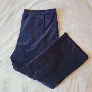 Isaac Mizrahi Live Women Sz 30WP Blue Velour Pull On Pants Holiday Dressy Soft